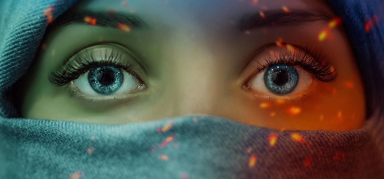 常用网站建设程序盘点:2026年主流建站系统对比与选择建议